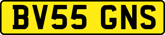 BV55GNS