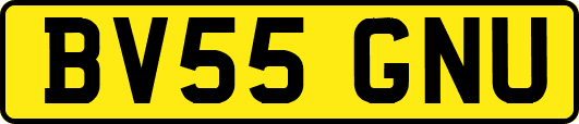 BV55GNU