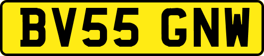 BV55GNW