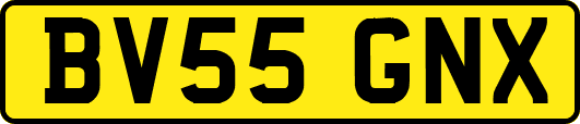 BV55GNX