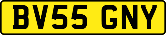 BV55GNY