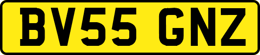 BV55GNZ