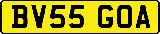 BV55GOA
