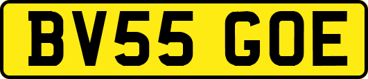 BV55GOE