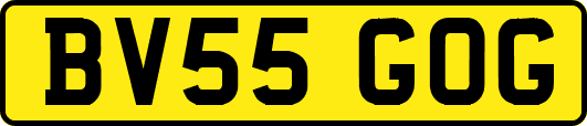 BV55GOG