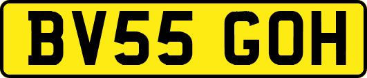 BV55GOH