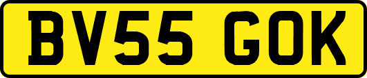 BV55GOK