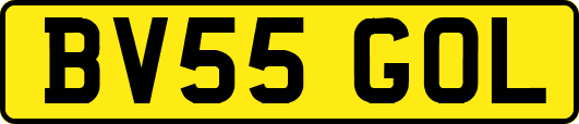 BV55GOL
