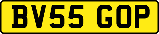 BV55GOP