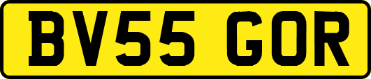 BV55GOR