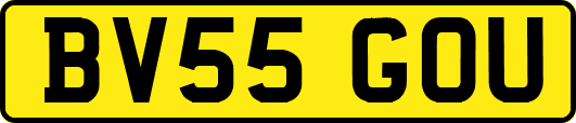BV55GOU