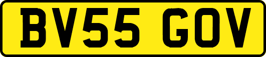 BV55GOV