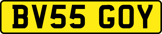 BV55GOY