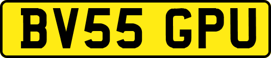 BV55GPU