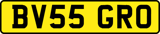 BV55GRO