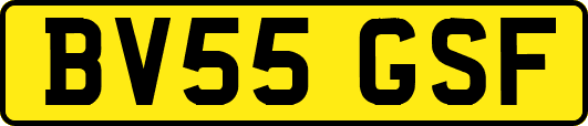 BV55GSF