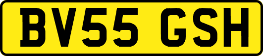 BV55GSH