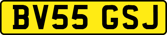 BV55GSJ