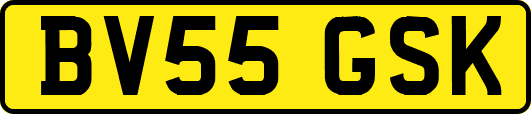 BV55GSK