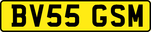 BV55GSM