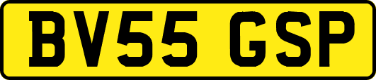 BV55GSP
