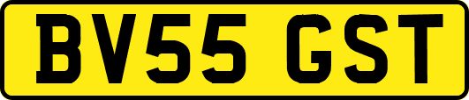 BV55GST