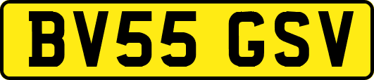 BV55GSV