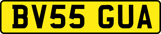 BV55GUA