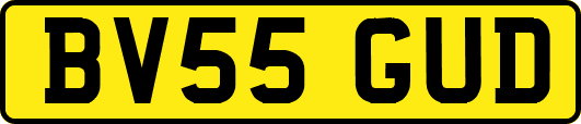 BV55GUD