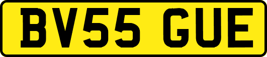 BV55GUE