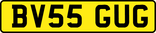BV55GUG