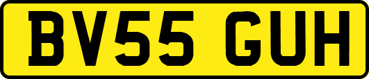 BV55GUH