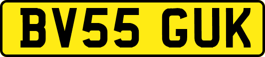 BV55GUK