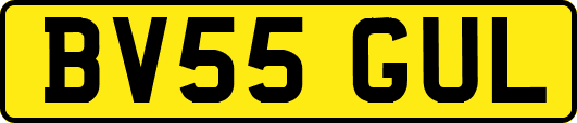BV55GUL