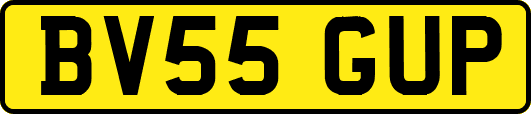 BV55GUP