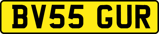 BV55GUR
