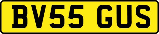 BV55GUS