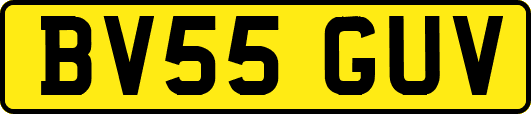 BV55GUV