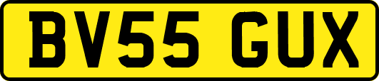 BV55GUX