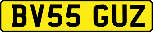 BV55GUZ