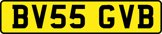 BV55GVB