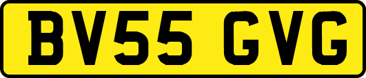 BV55GVG