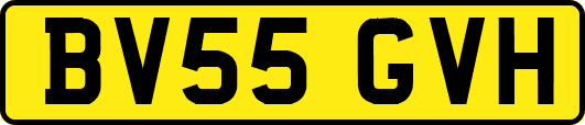 BV55GVH