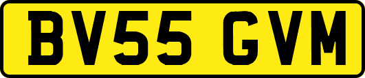 BV55GVM