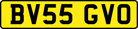 BV55GVO