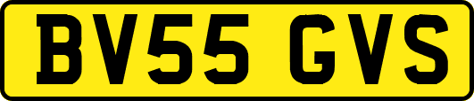 BV55GVS