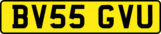 BV55GVU