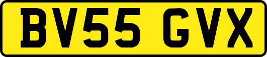 BV55GVX