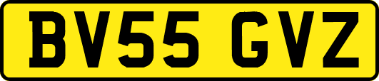 BV55GVZ