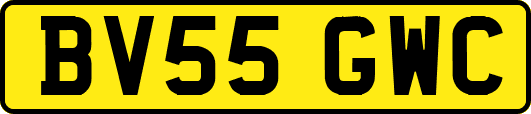 BV55GWC